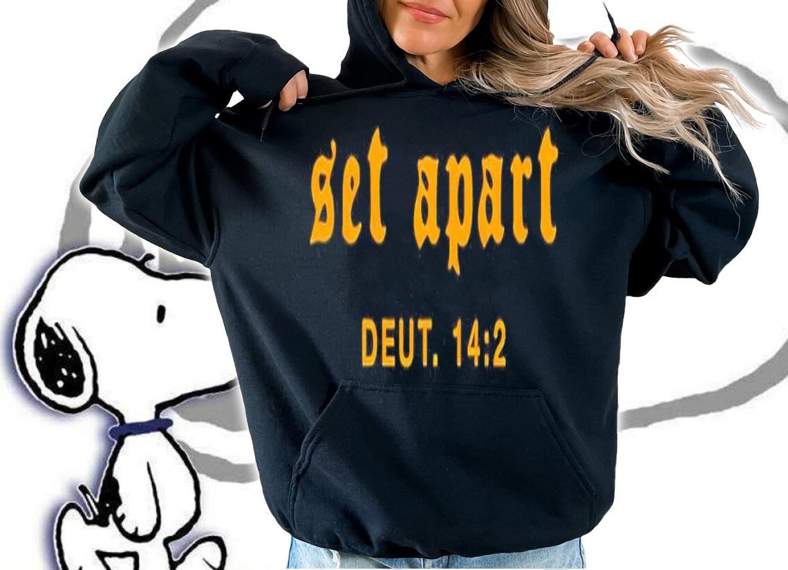 The Mountain Goats set apart deut 142 shirt t-shirt hoodie